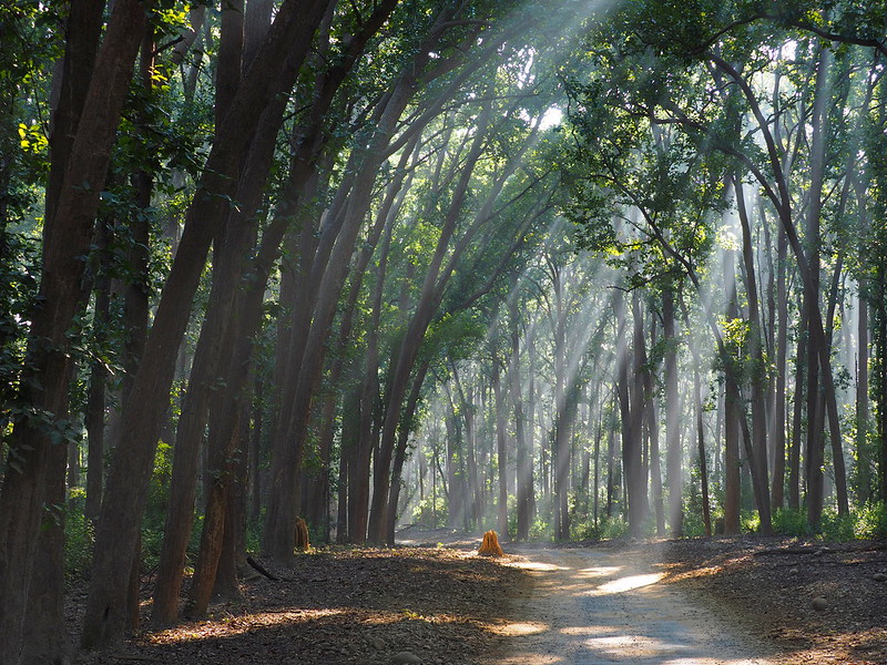 Jim Corbett Safari Bike Tour
